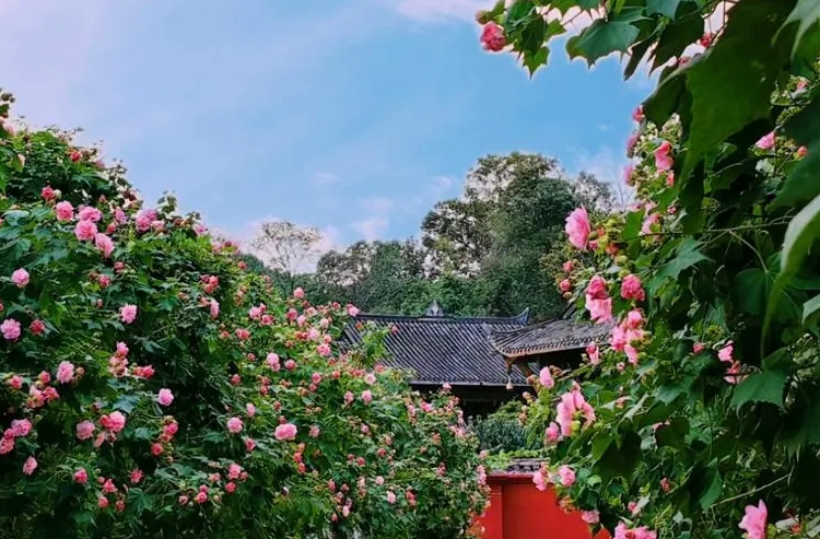 1730889538903028.png 1730889538903028.png