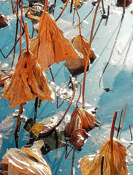 1730889631163264.png 1730889631163264.png