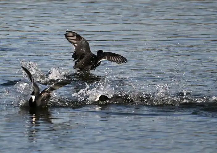 1730889676859797.png 1730889676859797.png